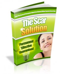 the scar solution cover