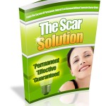 the scar solution cover