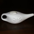 What is a Neti Pot and Why do You Need One pot