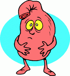 What’s the Best Diet for IBS upset stomach cartoon