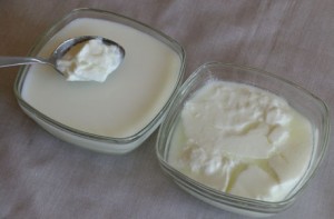 Yeast Infection Remedies That Work yogurt